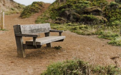 Lorem ipsum dolor sit amet